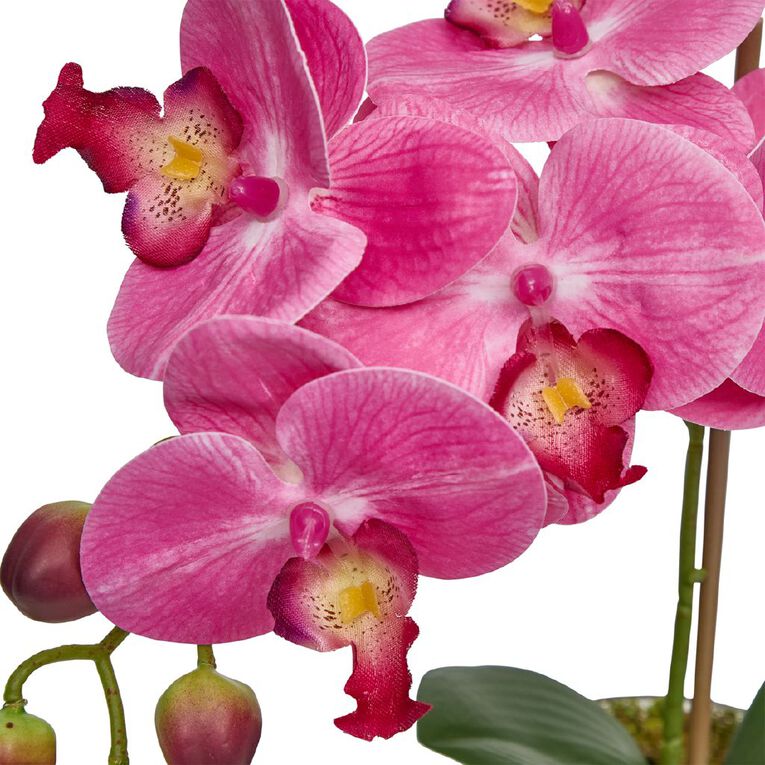 Botanica Artificial 30cm Orchid in Pot, , hi-res