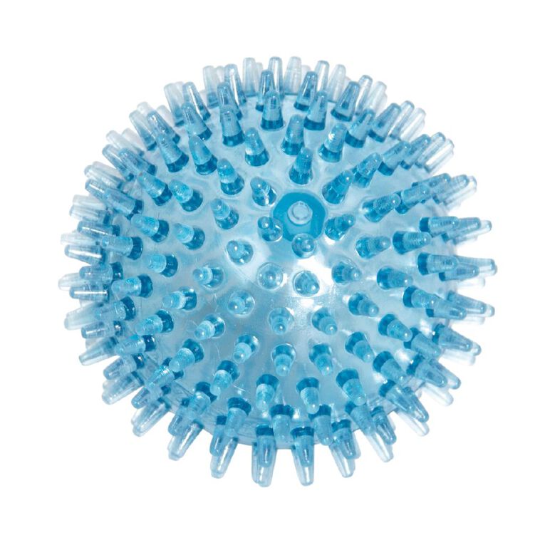 Petzone Chew Ball Small