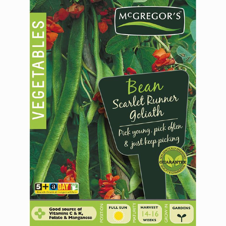 McGregor's Goliath Scarlet Runner Beans Vegetable Seeds, , hi-res