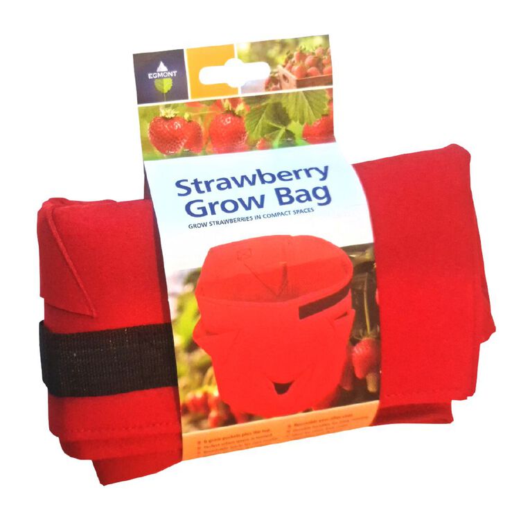Egmont Strawberry Grow Bag Red 30cm, , hi-res