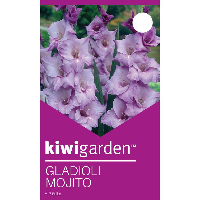 Kiwi Garden Gladioli Mojito 7 Pack, , hi-res