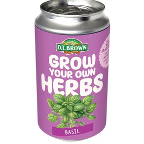 DT Brown Herb Can Grow Kit Basil