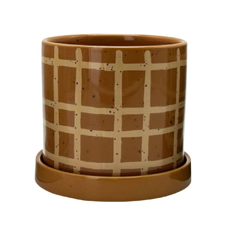 Kiwi Garden Painted Stripe Pot Assorted, , hi-res