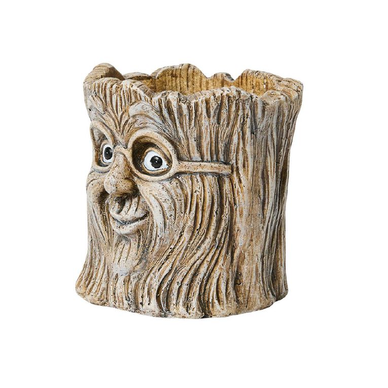 Kiwi Garden Plant Pot With Tree Face, , hi-res