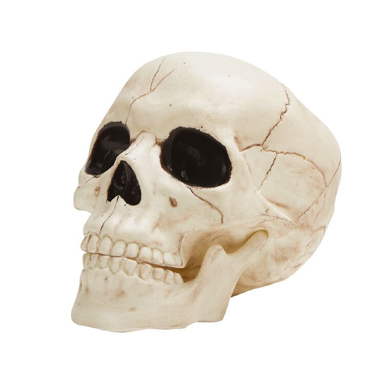 Seasons Skeleton Skull Decoration, , hi-res