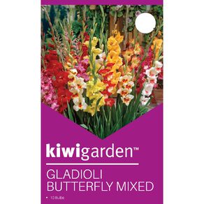 Kiwi Garden Gladioli Butterfly Mix 10 Pack