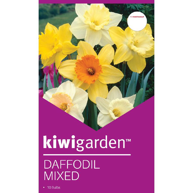 Kiwi Garden Daffodil MIxed 10PK, , hi-res