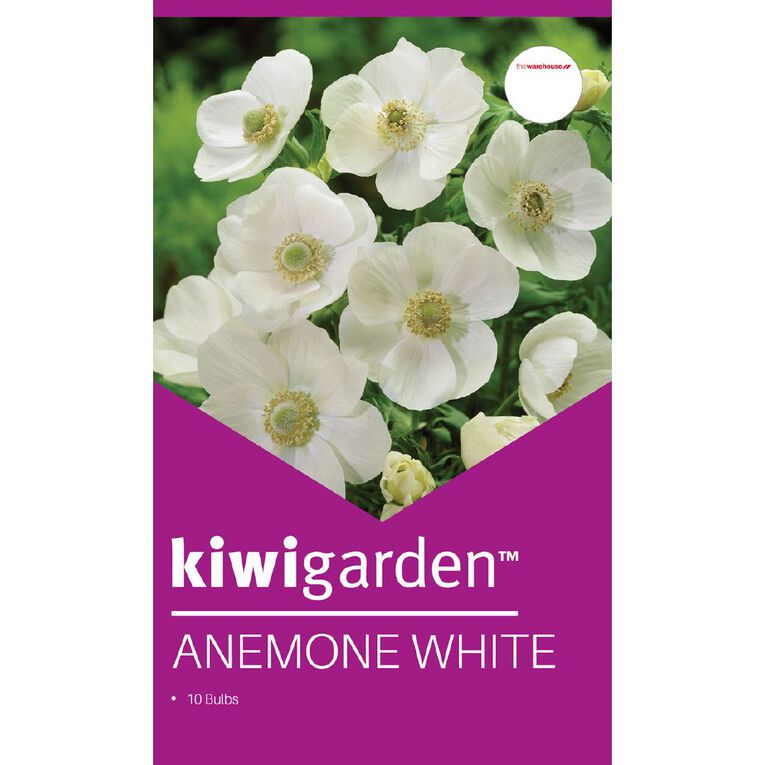 Kiwi Garden Anemone White 10 bulbs, , hi-res