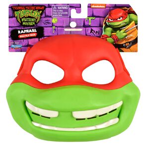 Teenage Mutant Ninja Turtles Mask Assorted