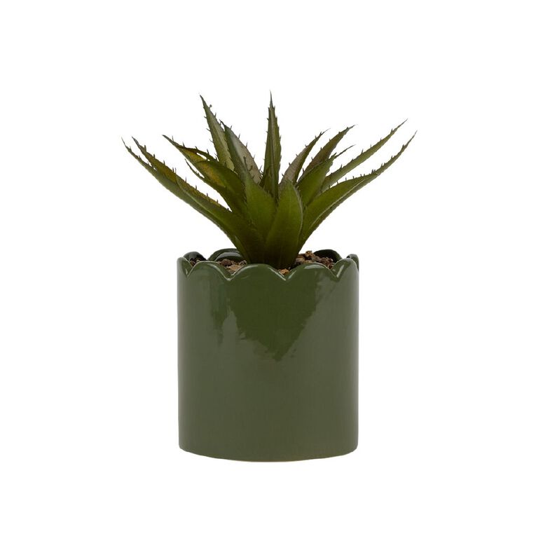 Living & Co Artificial Succulent Scallop Pot Green, , hi-res