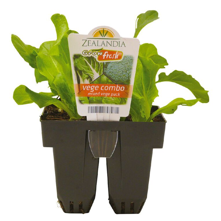Growfresh Vege Combo Mixed Vege, , hi-res