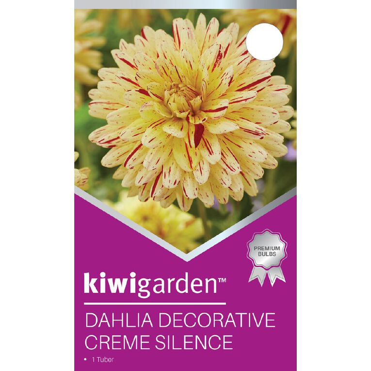 Kiwi Garden Dahlia Decorative Type 1 Pack, , hi-res