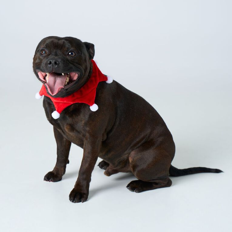 Wonderland Pet Santa Scarf Small, , hi-res