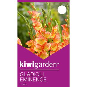 Kiwi Garden Gladioli Eminence 7 Pack