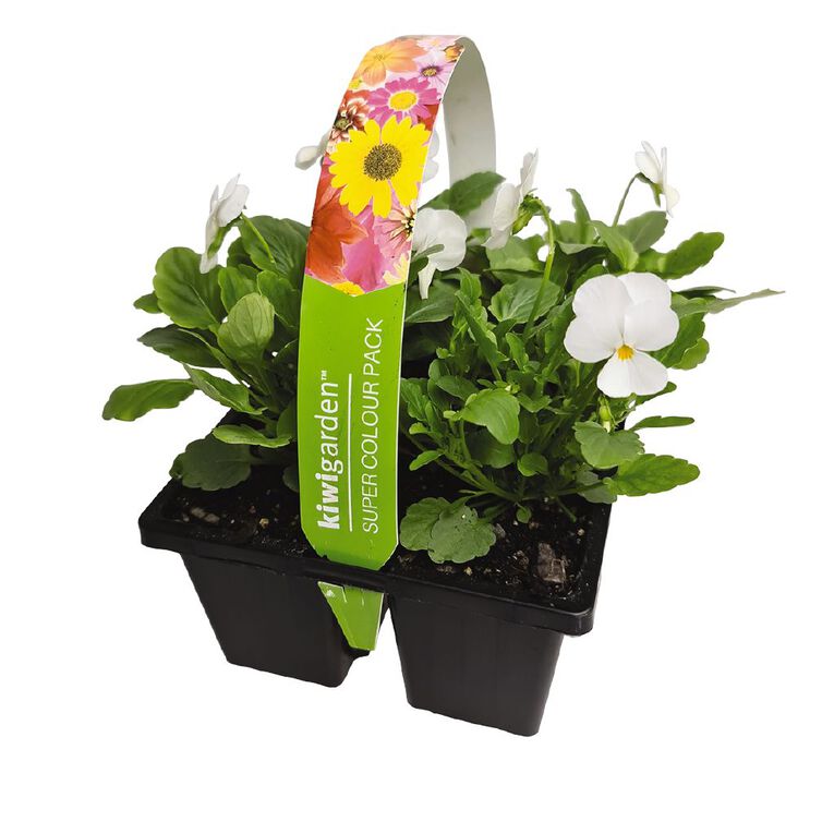 Super Colour 4 Pack, , hi-res