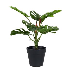 Living & Co Artificial Monstera Plant in Plastic Pot