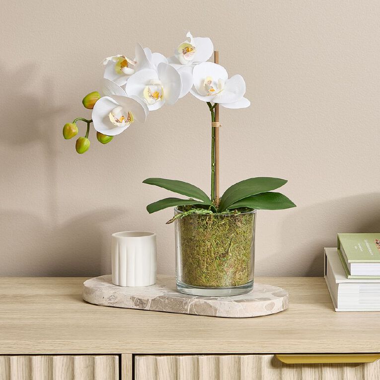 Botanica Artificial 30cm Orchid in Pot, , hi-res