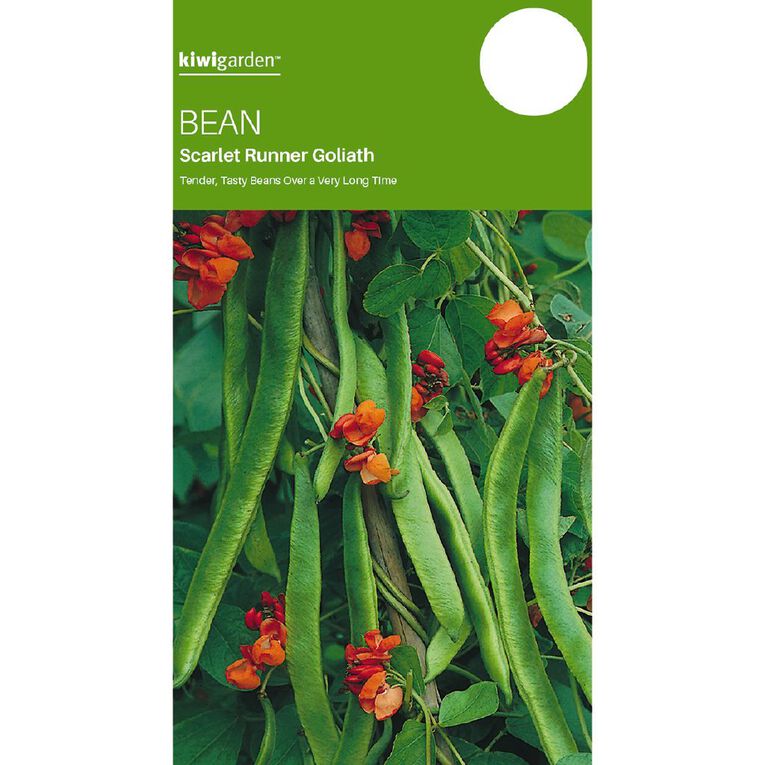 Kiwi Garden Bean Scarlet Runner Goliath Seeds, , hi-res