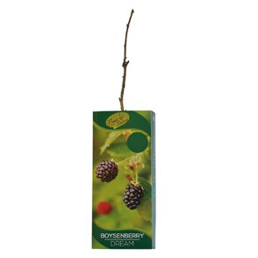 Fruit Sation Berry Fruit Boysenberry Tasman