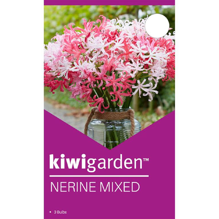 Kiwi Garden Nerine Mixed 3 Pack, , hi-res