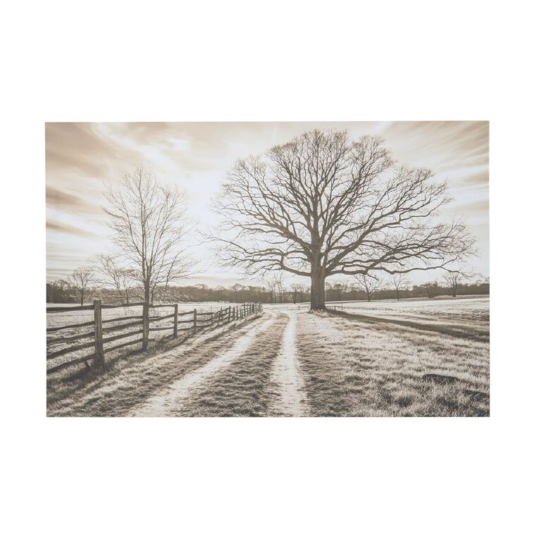 Living & Co Pathway Printed Canvas 60cm x 90cm, , hi-res