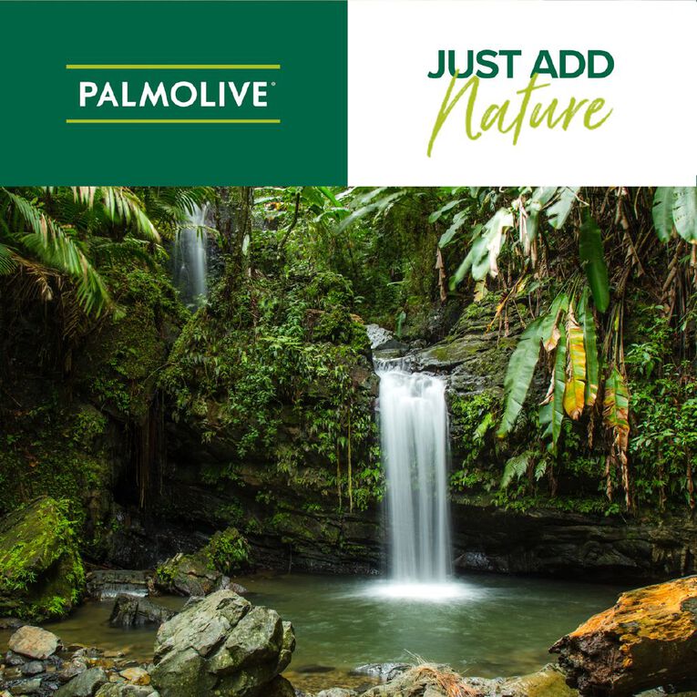 Palmolive Naturals Active Nourishment Conditioner 350ml 350ml, , hi-res