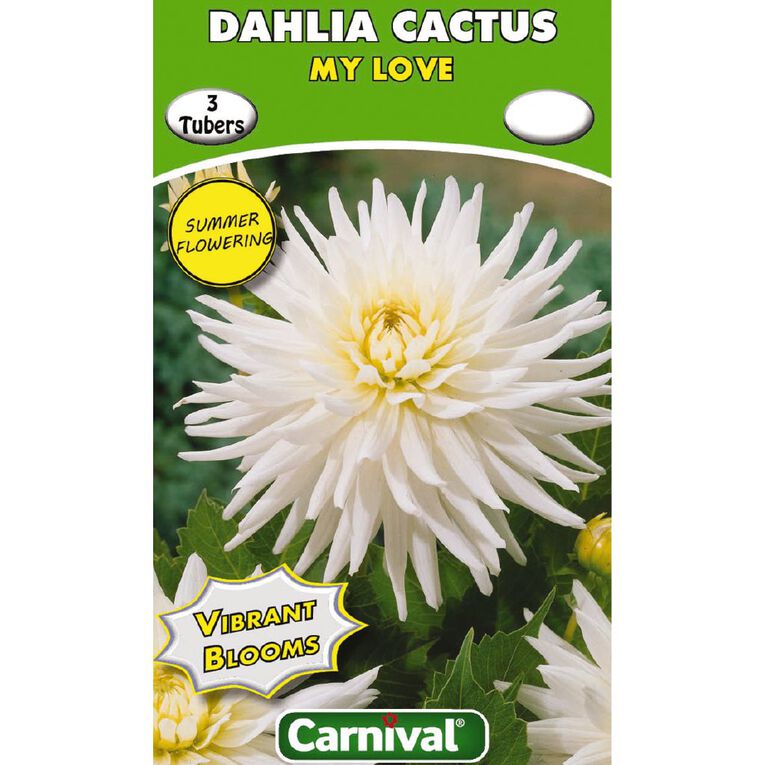 Kiwi Garden Dahlia Bulb Single Variety 3 Pack, , hi-res