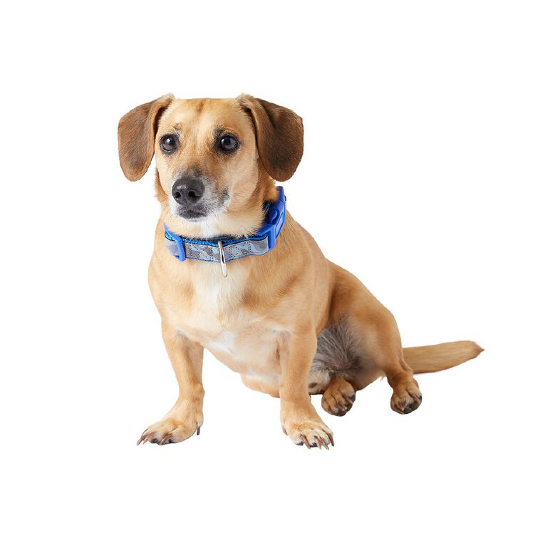 Petzone Dog Collar Camo Large Assorted Large Assorted The Warehouse