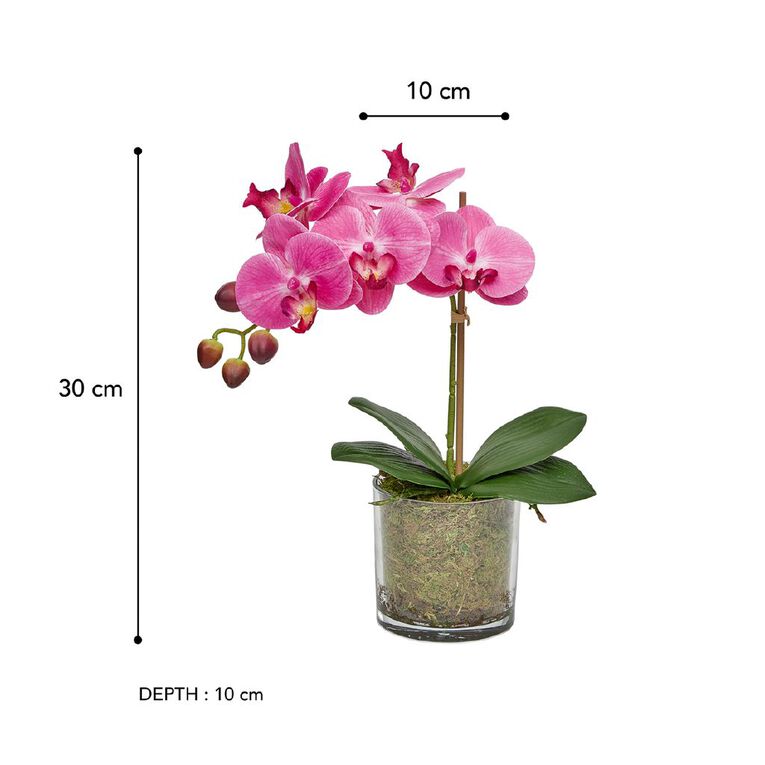 Botanica Artificial 30cm Orchid in Pot, , hi-res