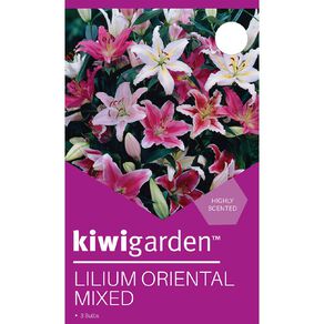 Kiwi Garden Oriental Lily Mixed