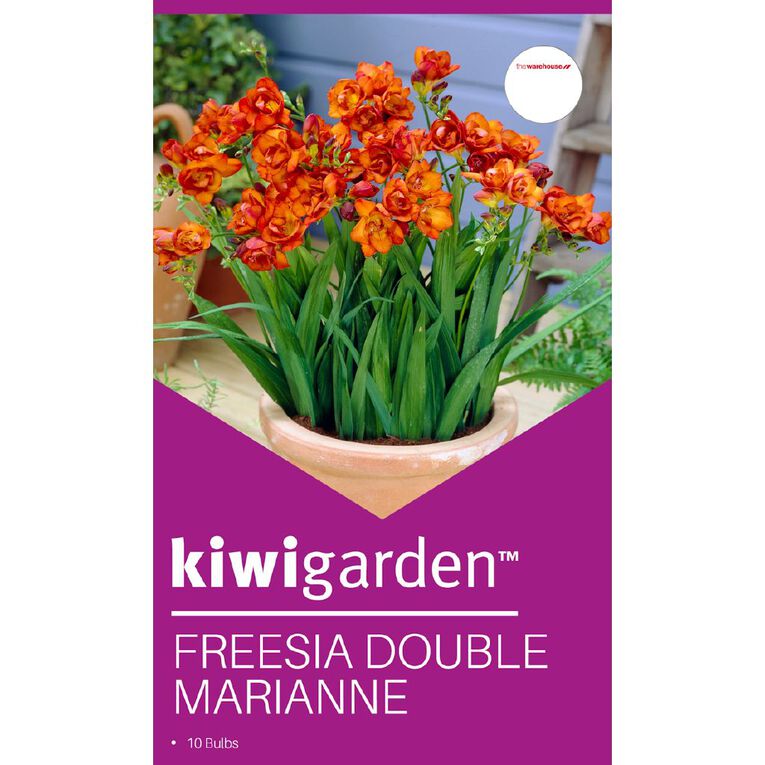 Kiwi Garden Freesia Double Marianne 10PK, , hi-res