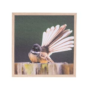 Living & Co Fantail Framed Canvas 25cm x 25cm