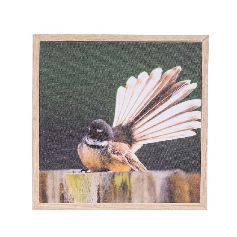 Living & Co Fantail Framed Canvas 25cm x 25cm, , hi-res