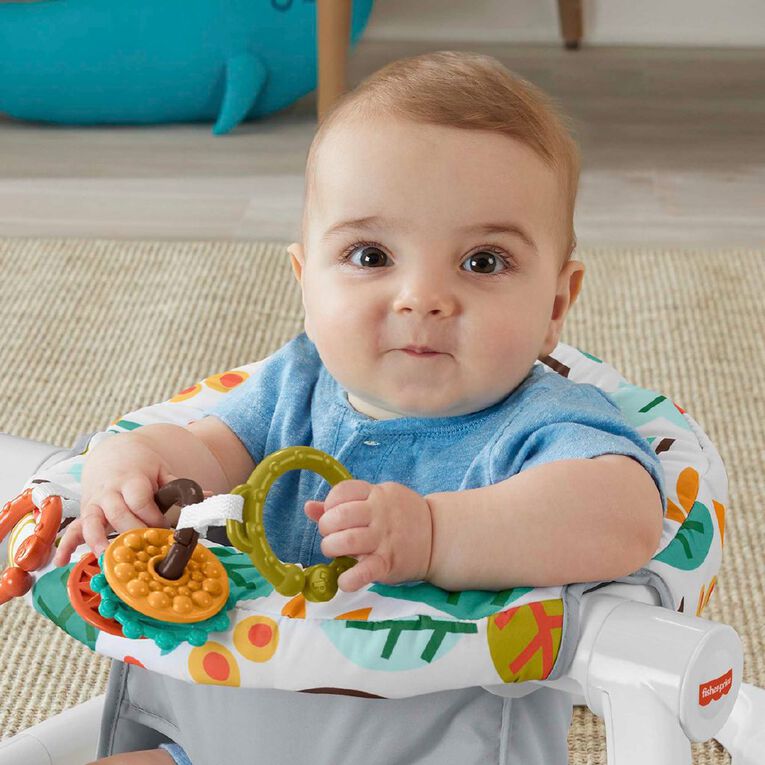 Fisher-Price Whimsical Sit Me Up Floor Seat, , hi-res