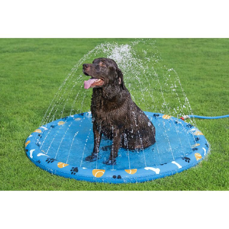 Bestway Fetchin' Fun Pet Splash Pad, , hi-res