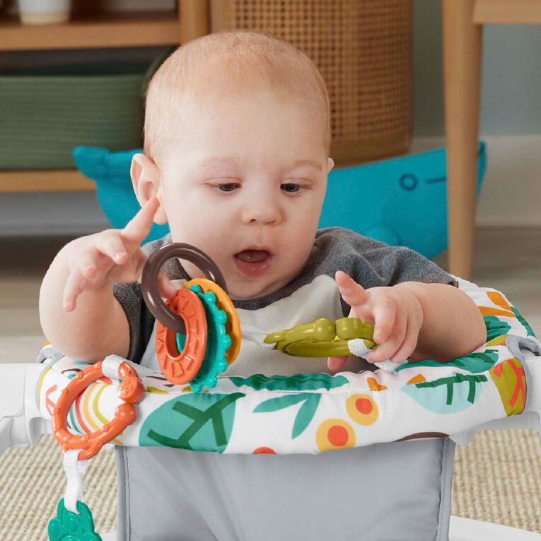 Fisher-Price Whimsical Sit Me Up Floor Seat, , hi-res