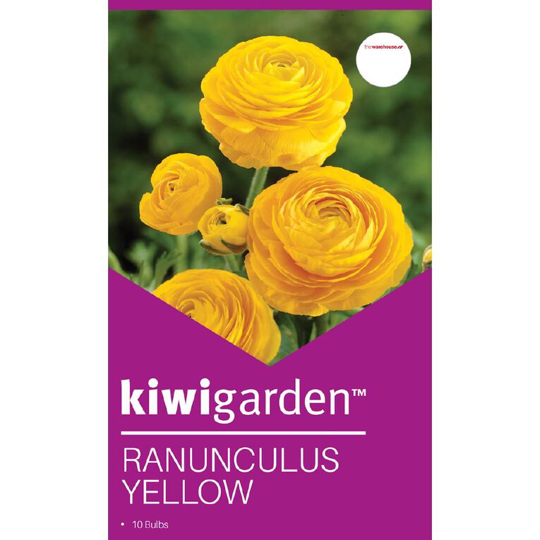 Kiwi Garden Ranunculus Yellow 10 bulbs, , hi-res