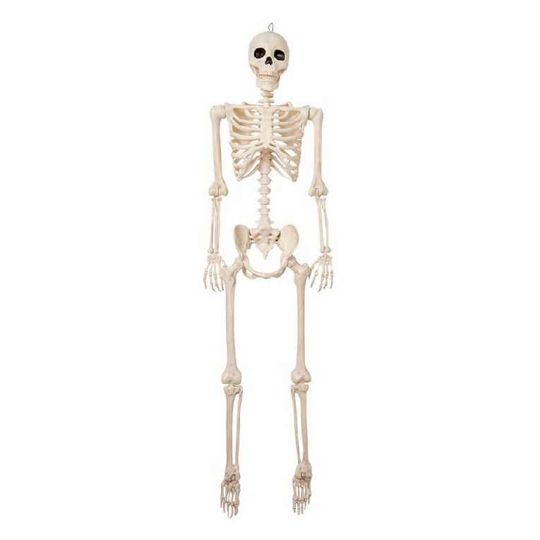 Seasons Pose-n-Stay Skeleton 152cm, , hi-res