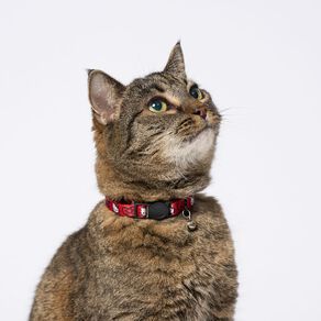 Hello Kitty Cat Collar