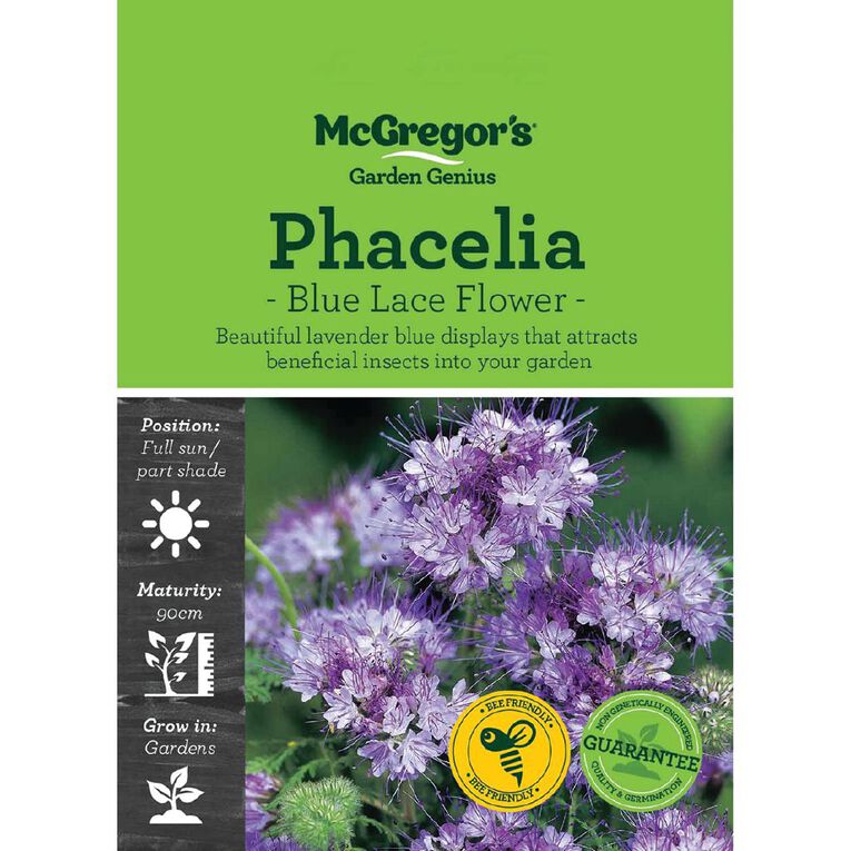 McGregor's Phacelia Blue Lace Flower Seeds, , hi-res