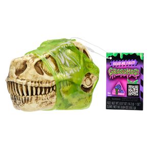 Grossmos Blind Dino Assorted