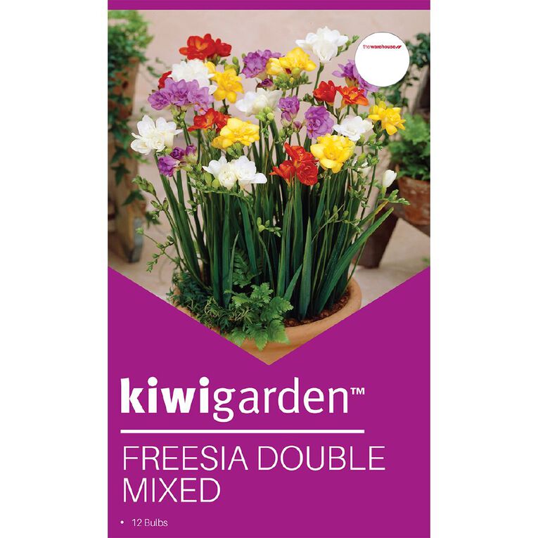 Kiwi Garden Freesia Mixed 12 bulbs, , hi-res
