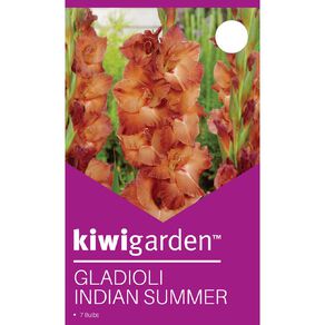 Kiwi Garden Gladioli Indian Summer 7 Pack