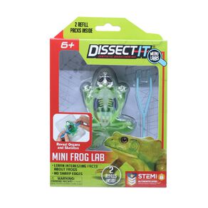 Slimy Dissect Mini Frog With Magnifying Glass