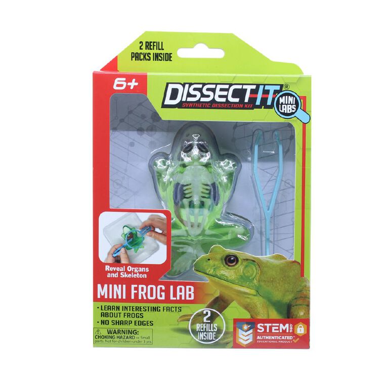 Slimy Dissect Mini Frog With Magnifying Glass, , hi-res