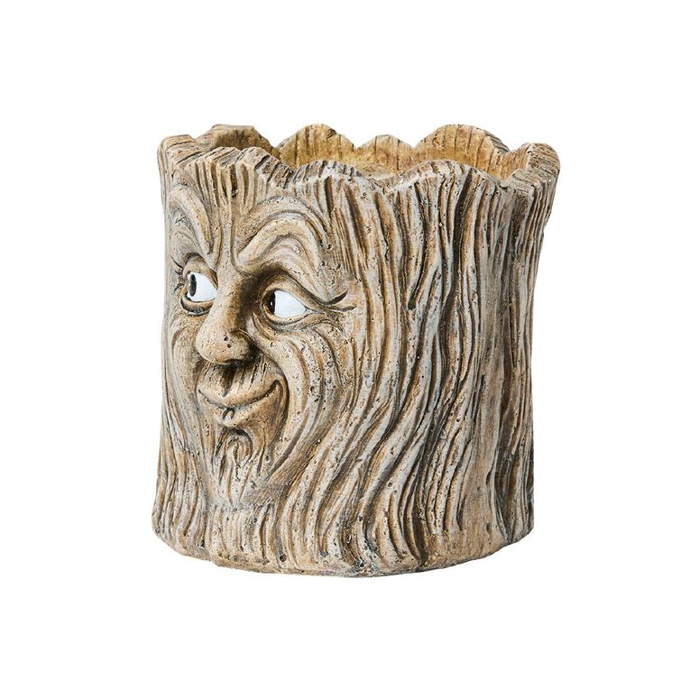 Kiwi Garden Plant Pot With Tree Face, , hi-res