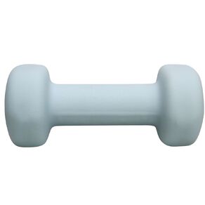 Active Intent Fitness Neoprene Dumbbell