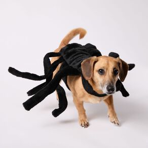 Scarehouse Spider Pet Costume
