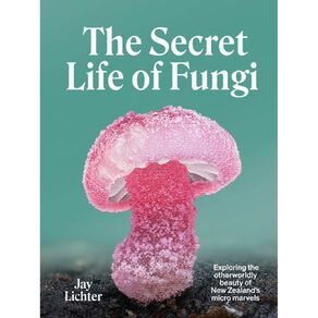 The Secret Life Of Fungi by Jay Lichter