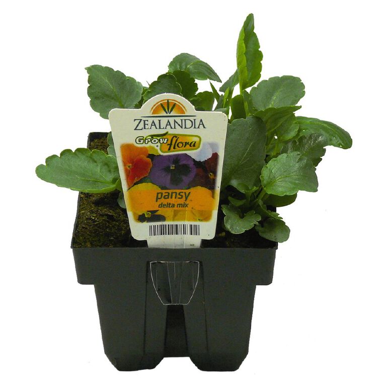 Growflora Pansy Delta Mix, , hi-res